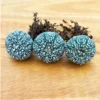 10PCS 3-5cm RareSucculent cactus plant Astrophytum asterias Garden plants